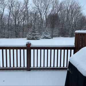 Meet your Posher, Eleni